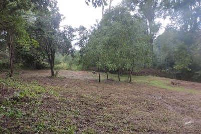 Prodej_pozemku_Městečko_Trnávka_3