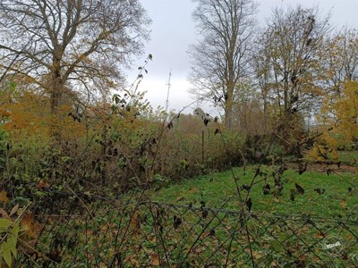 Aukce_pozemek_Rankovice_3 (1)