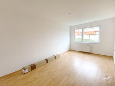 Pronajem_bytu_1+kk_1