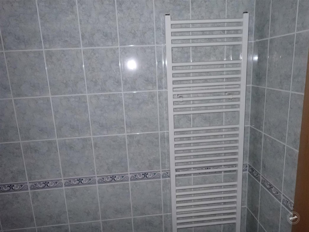 Drazba_byt_Bolevec_11 (3)