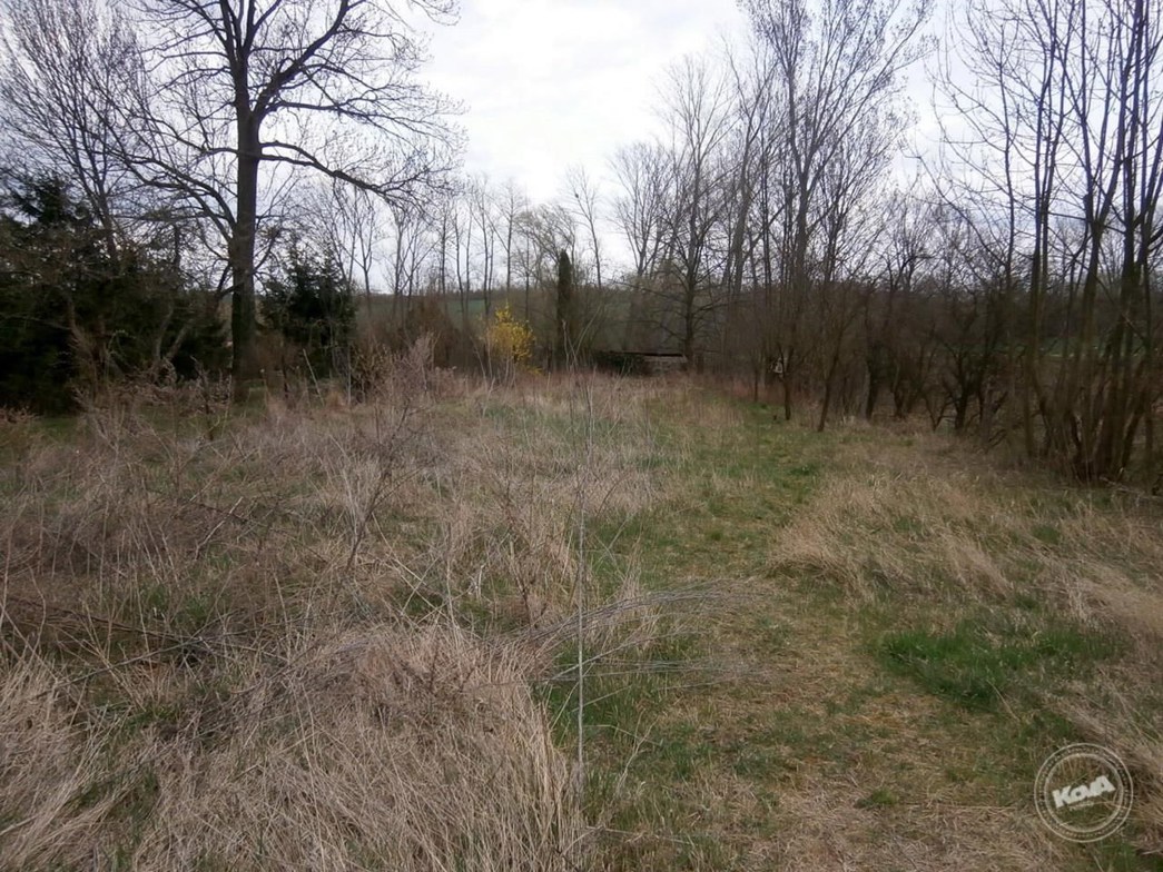 Dražba_Domu_Rousínov_5