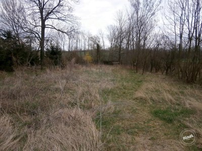 Dražba_Domu_Rousínov_5