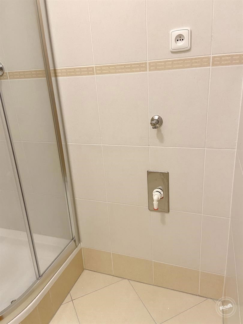 Pronajem_bytu_1+kk_8