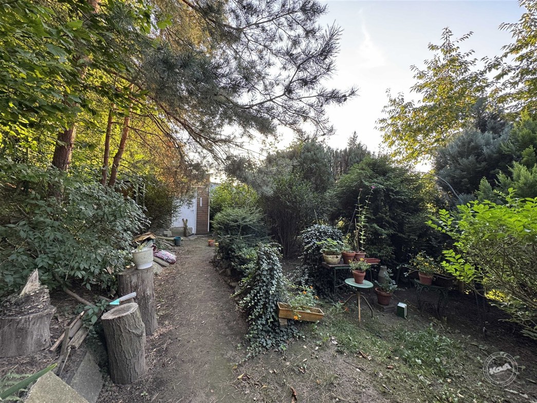 prodej-chaty-pod-smetankou-5_optimized