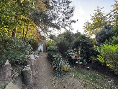 prodej-chaty-pod-smetankou-5_optimized